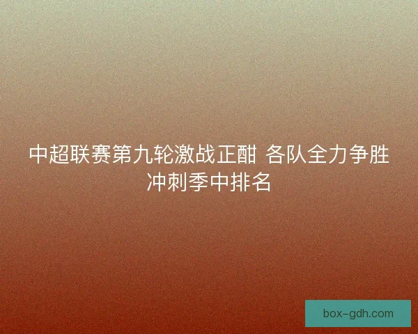 中超联赛第九轮激战正酣 各队全力争胜冲刺季中排名